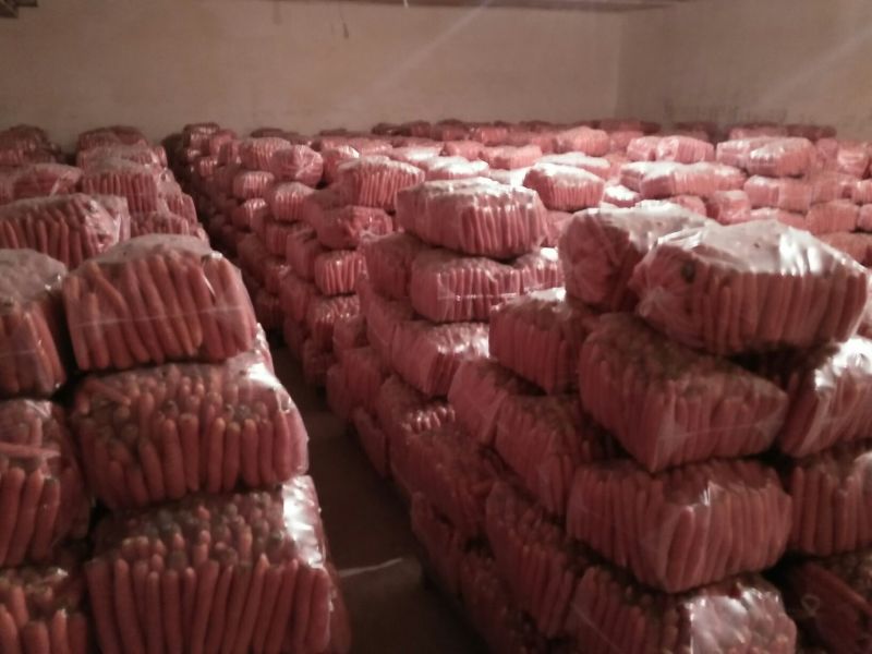 三红胡萝卜3两以上水洗10厘米以上红