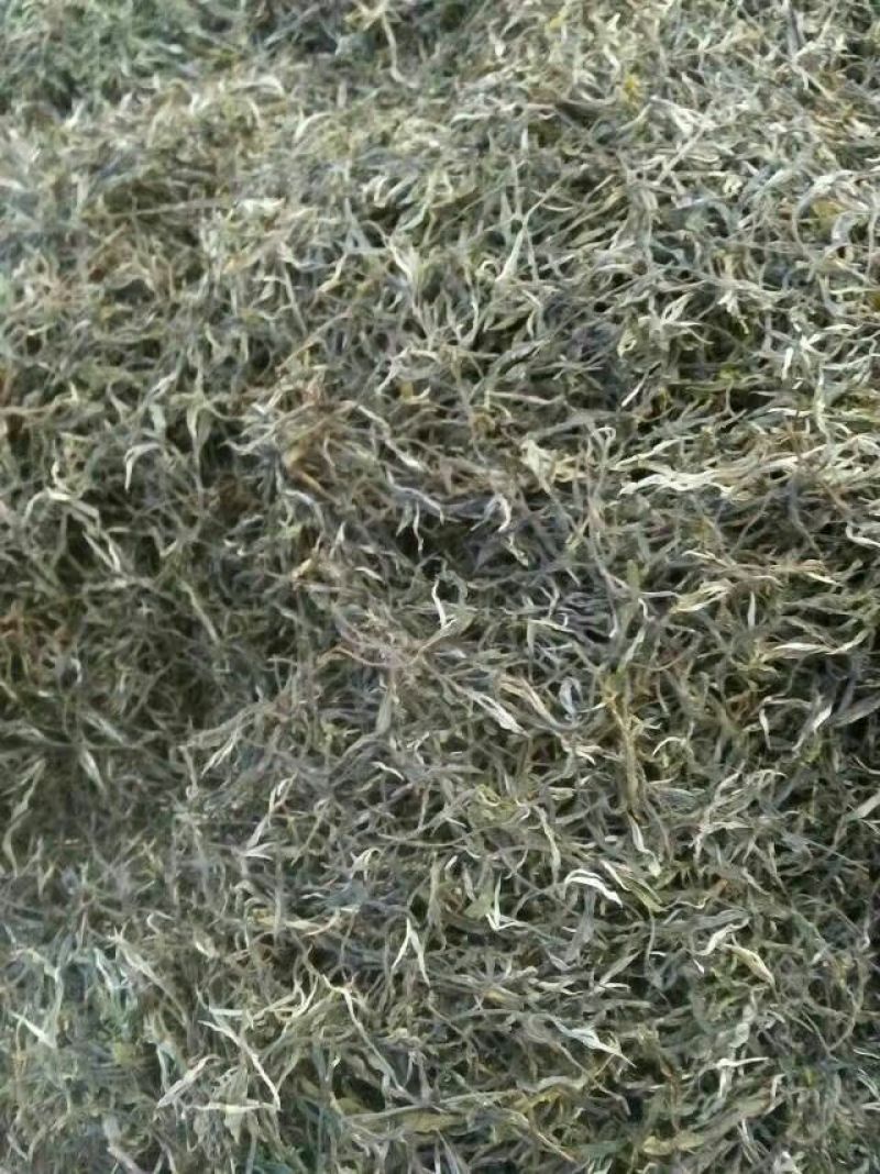 普洱茶