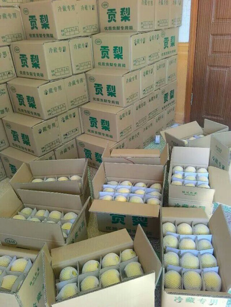 礼泉酥梨200~250g光果