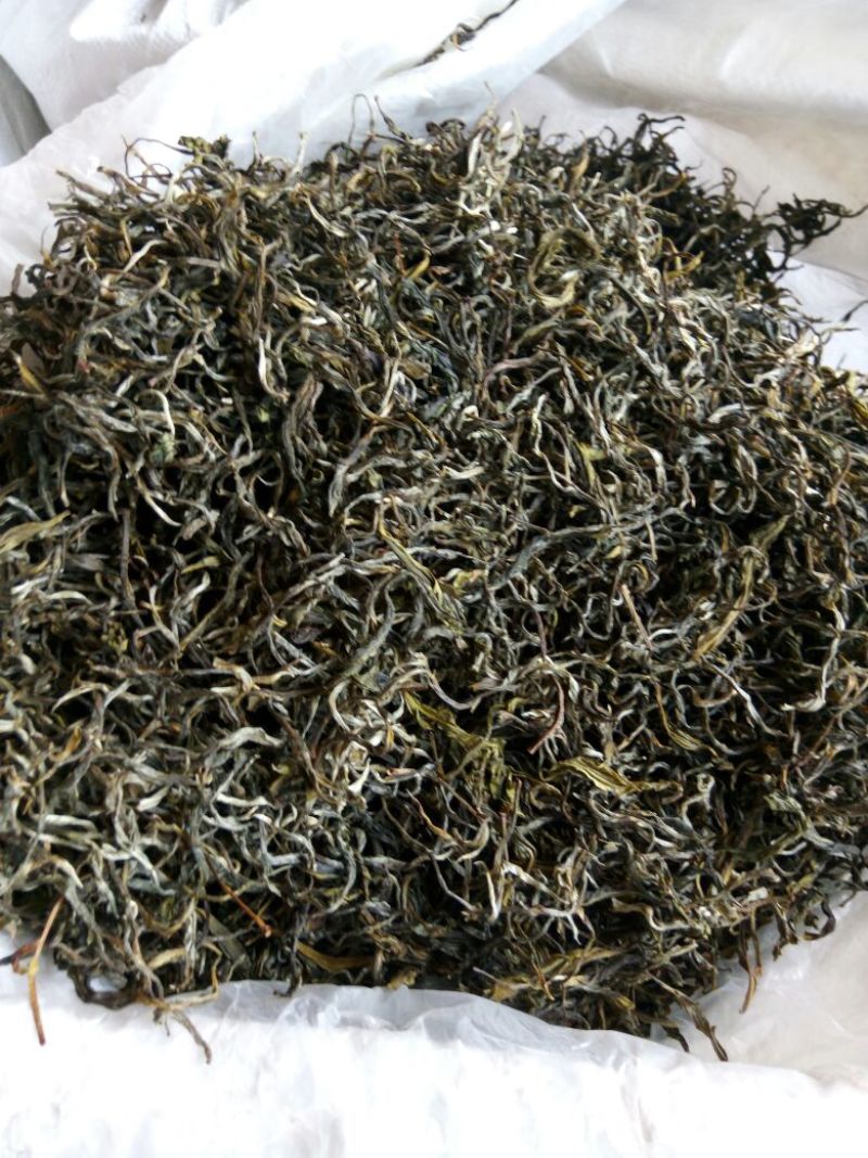 古树普洱茶特级