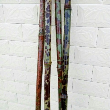 斑竹2~3m