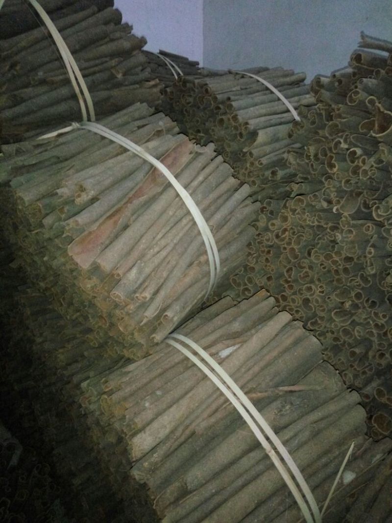 桂皮