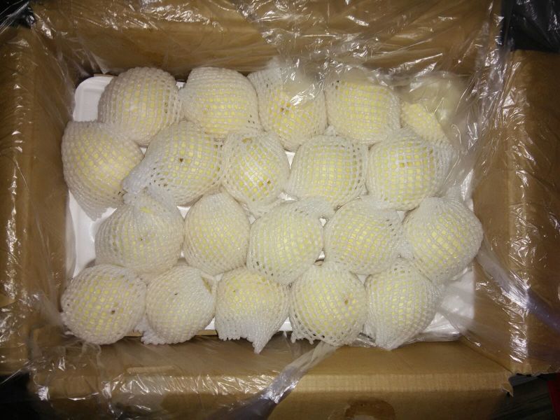 皇冠梨250~300g纸箱