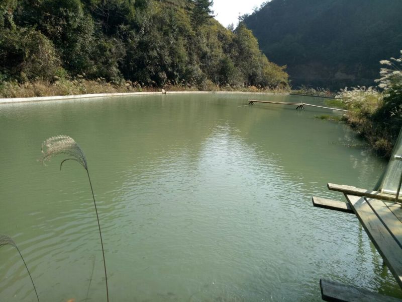 河鲤鱼食用0.5~1公斤