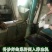 菜油一级
