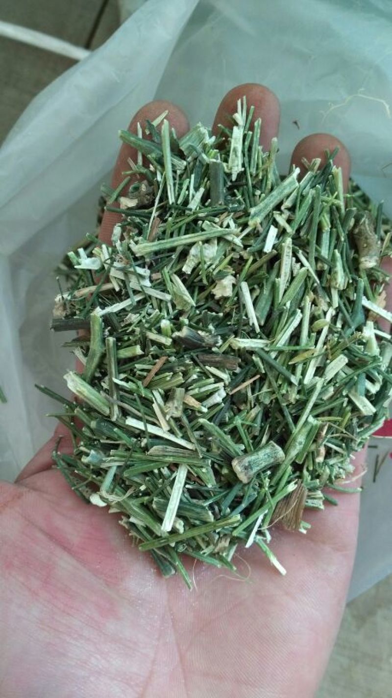 穿心莲杆