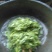 苦菊15~20cm