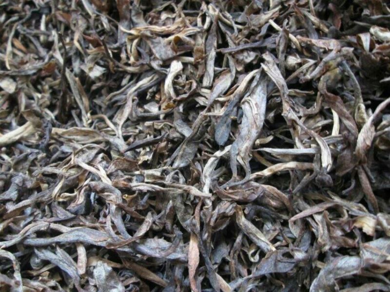 百年大树茶