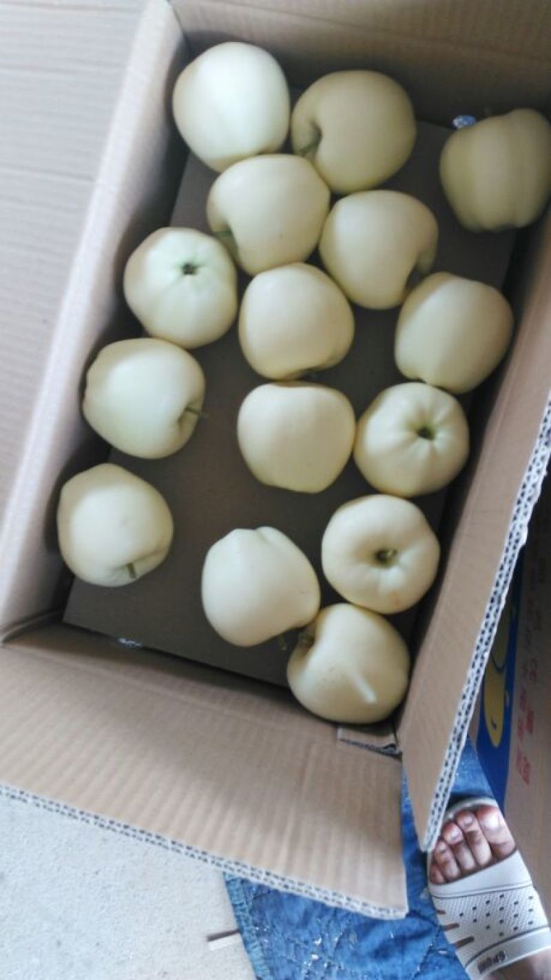 黄元帅苹果纸袋