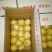 皇冠梨200~250g纸袋