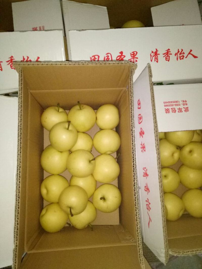 皇冠梨200~250g纸袋