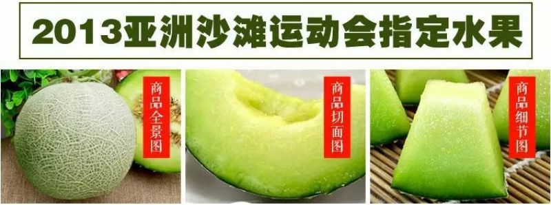 网纹瓜3斤以上椭圆形