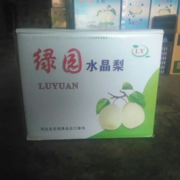 水晶梨