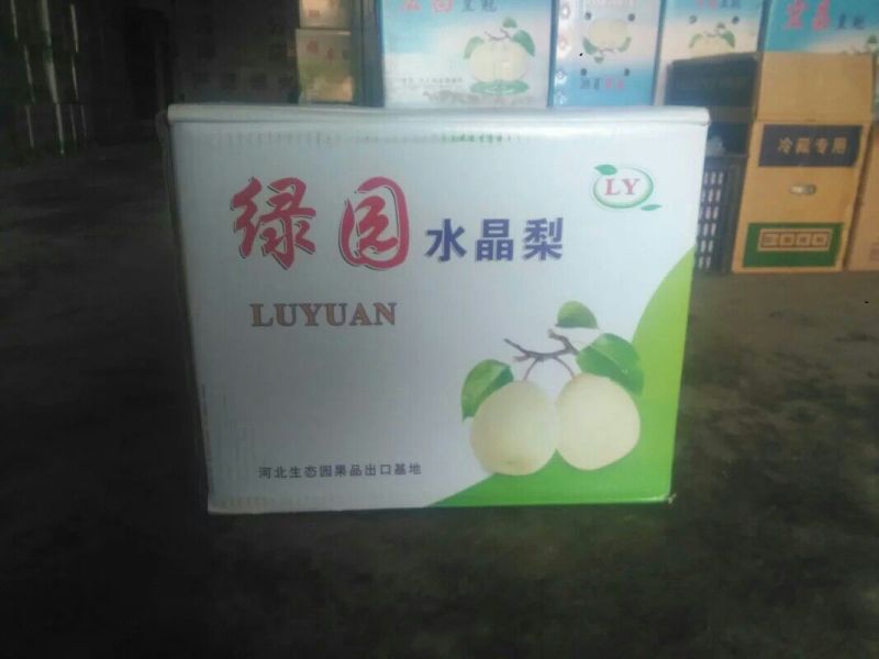 水晶梨