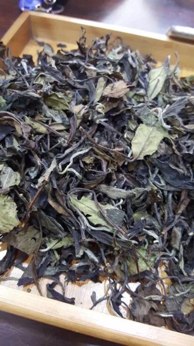 福鼎白茶