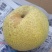 酥梨200~250g光果