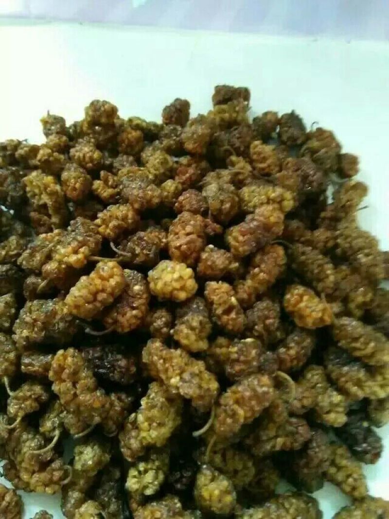 桑葚干