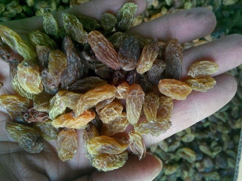 葡萄干新疆特产吐鲁番葡萄干