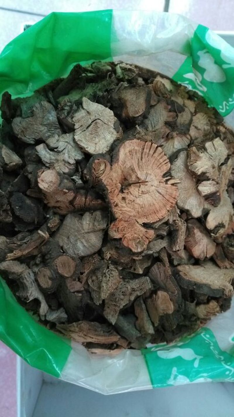 金荞麦