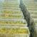 三花鹅苗250g以上