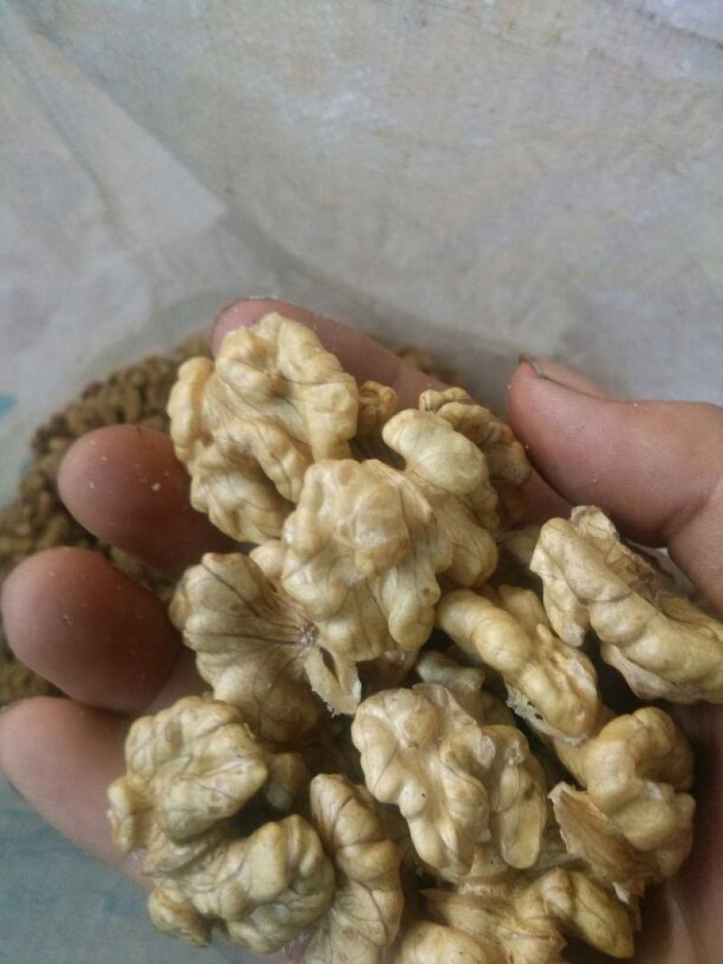 核桃仁云南大泡核桃仁现剥现发