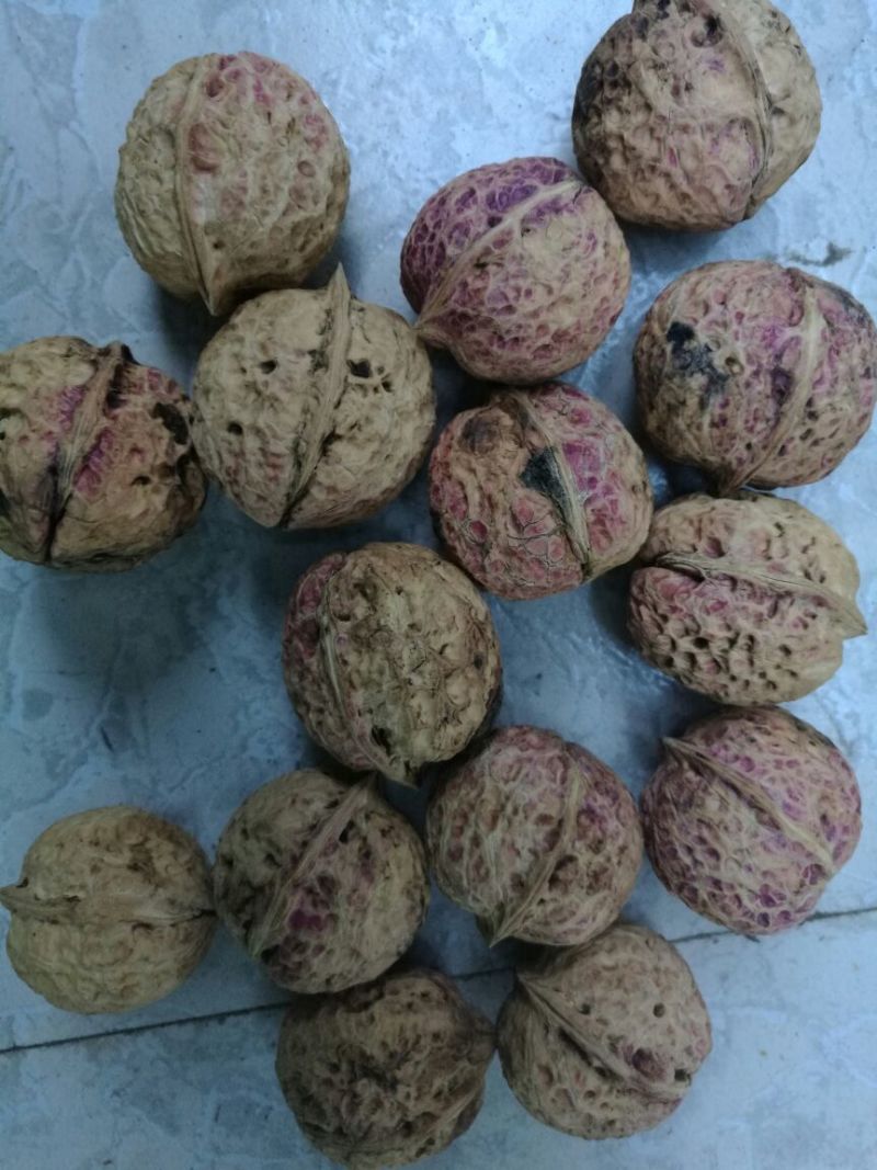 大泡核桃云南大理漾濞核桃