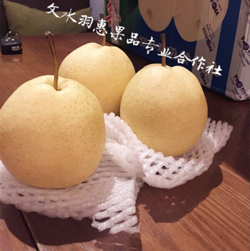 贡梨纸箱300~350g