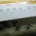 黄金梨300~350g纸加膜