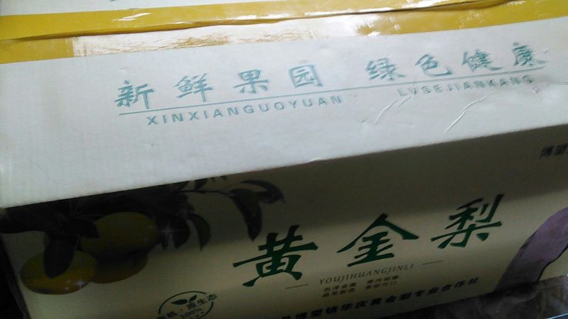 黄金梨300~350g纸加膜