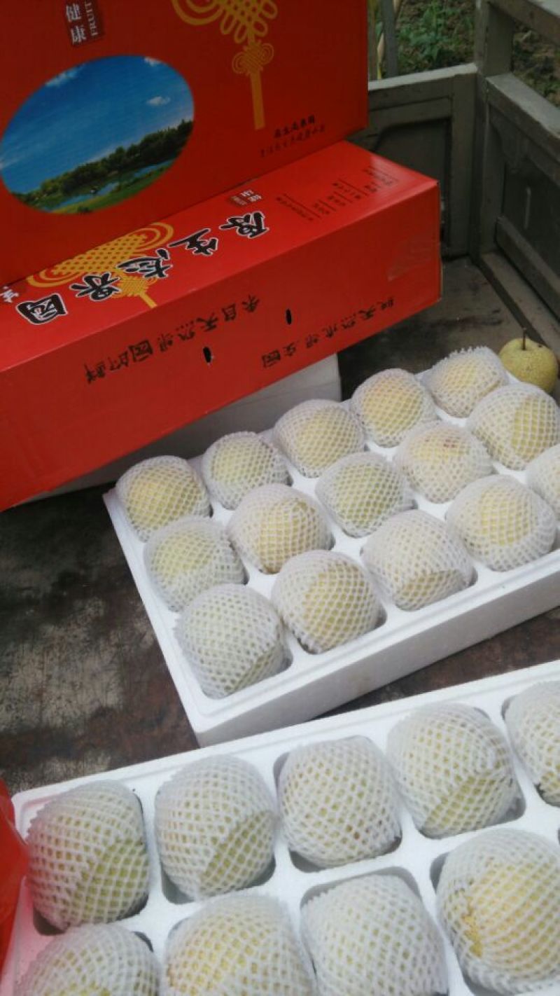 酥梨250~300g纸加膜