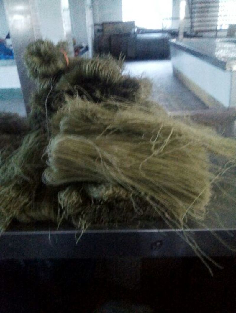 粉丝散装