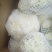 山东省聊城市莘县白面青梗松花菜直供2~3斤散花乳白