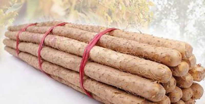 白玉山药2~3厘米25~30厘米一级