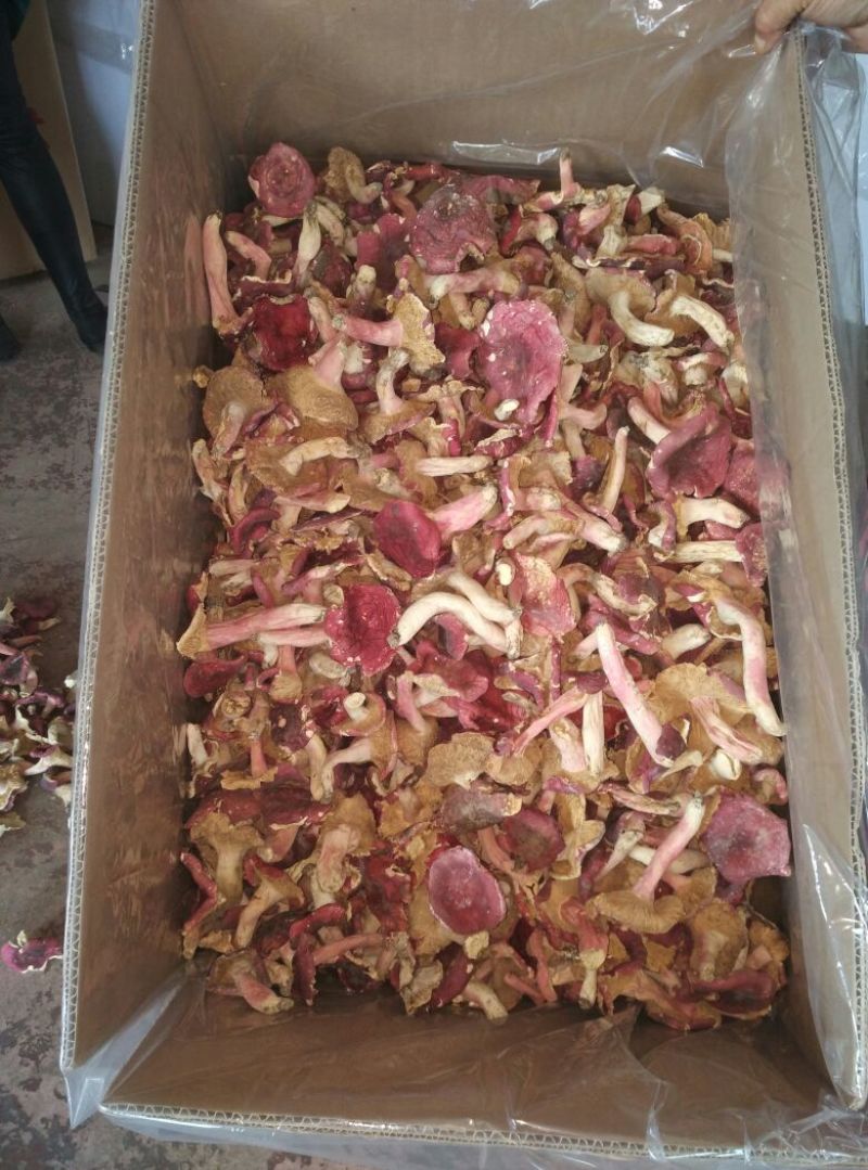 红菇3%35%二级5~8cm