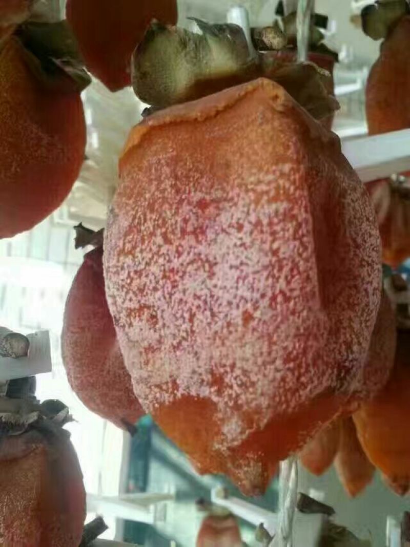 柿饼1~2两