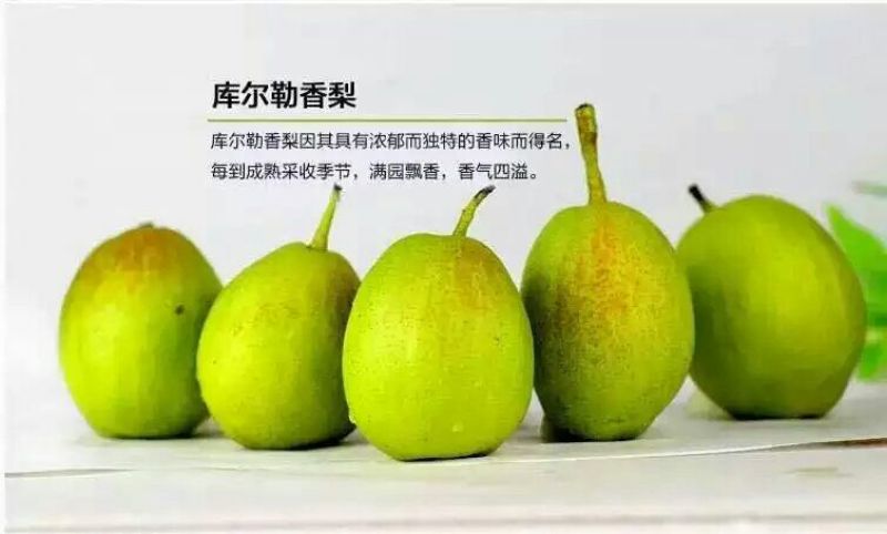 库尔勒香梨100~150g55mm以上公