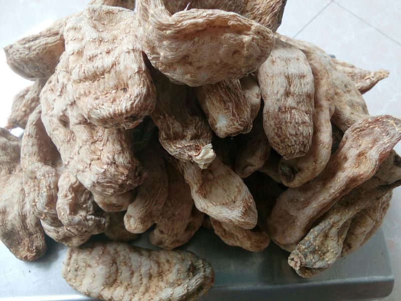 天麻一级