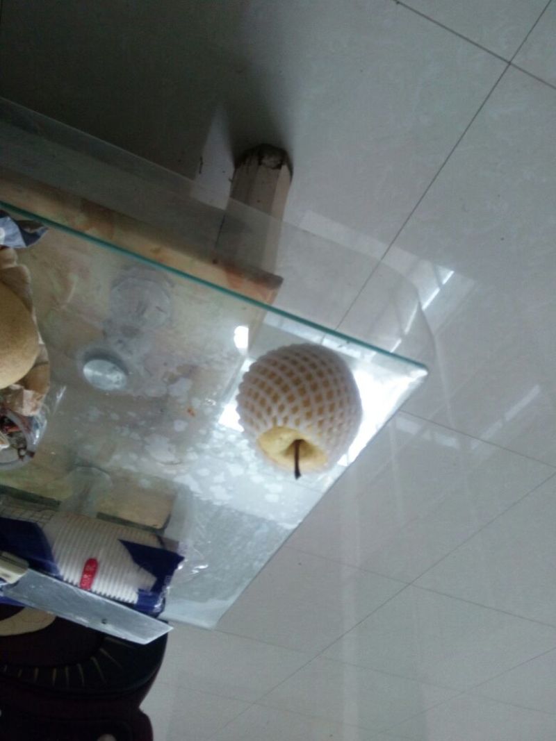 酥梨200~250g纸箱