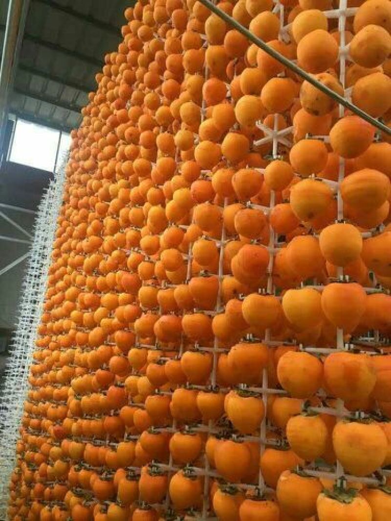 柿饼1~2两