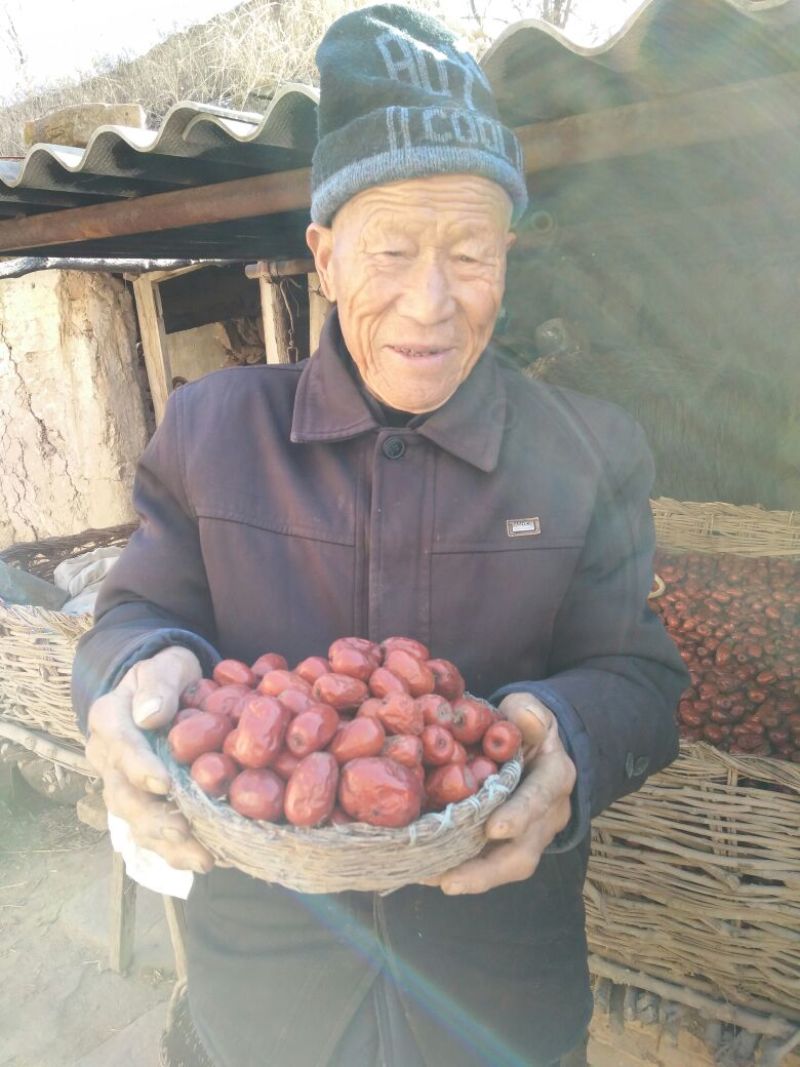 滩枣鲜枣通货