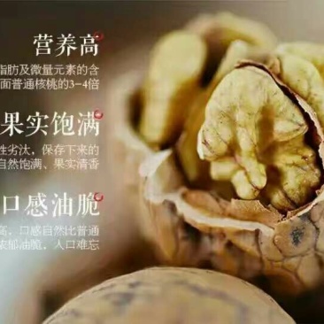 绵核桃去皮干
