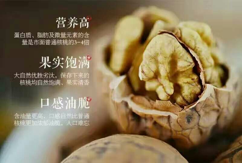 绵核桃去皮干