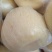 酥梨200~250g纸加膜