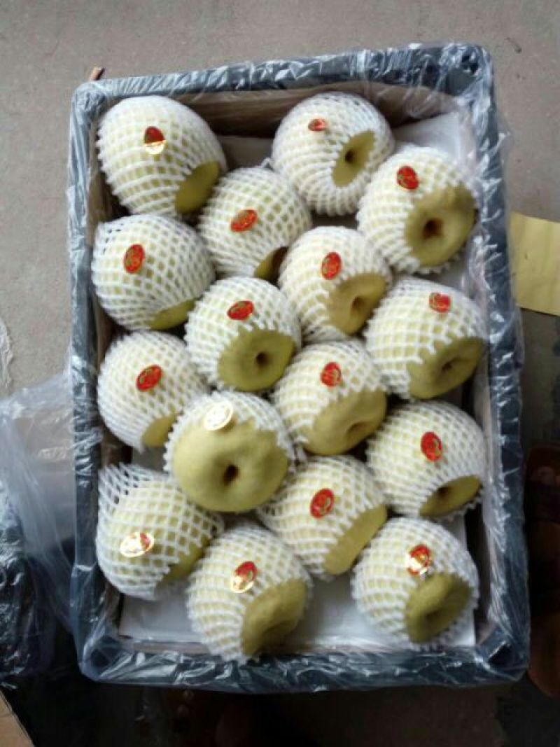 贡梨200~250g纸袋