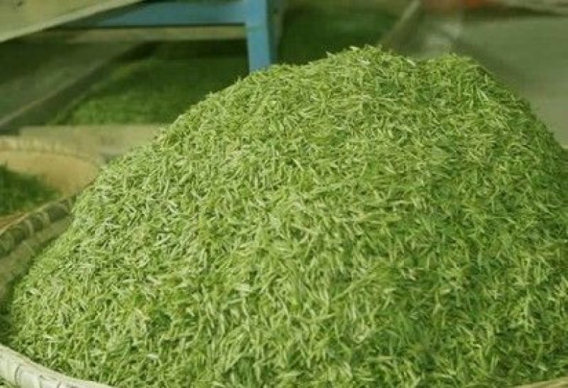 石阡苔茶特级