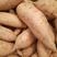 开封精品龙薯9号红薯黄心3两以上产地直供质量保证