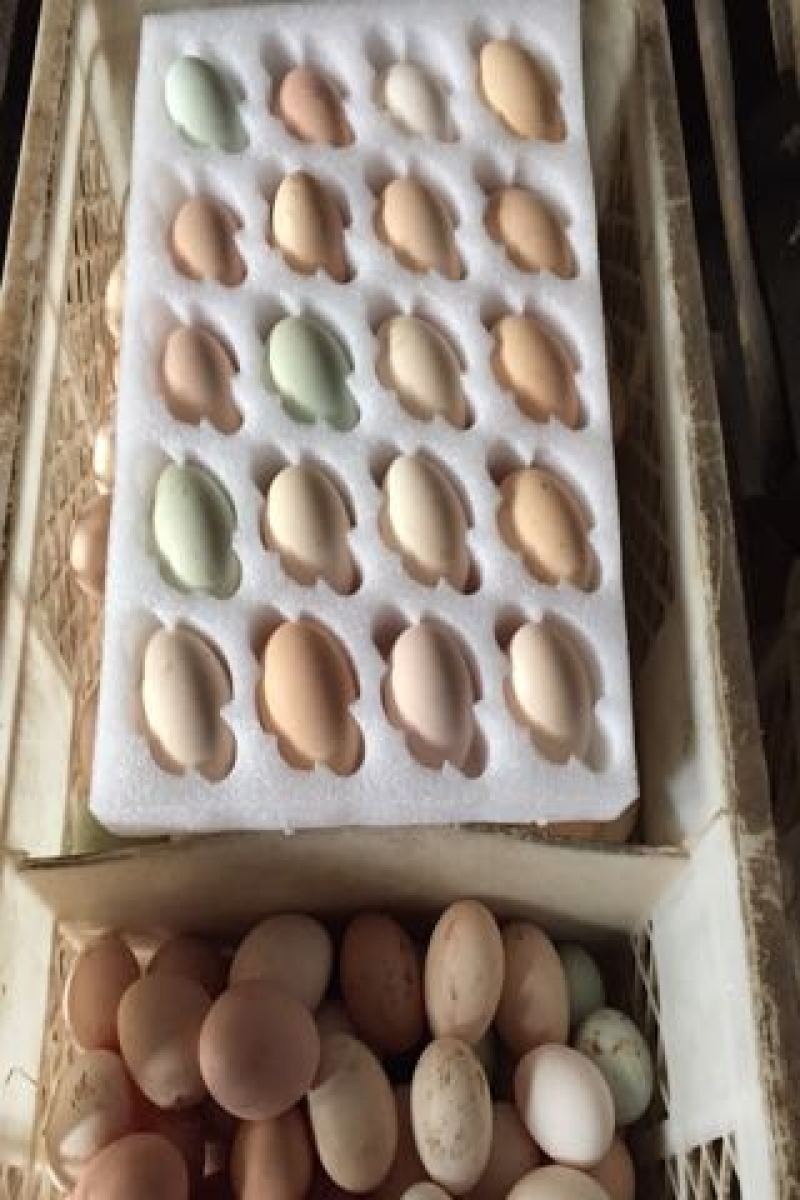 土鸡蛋