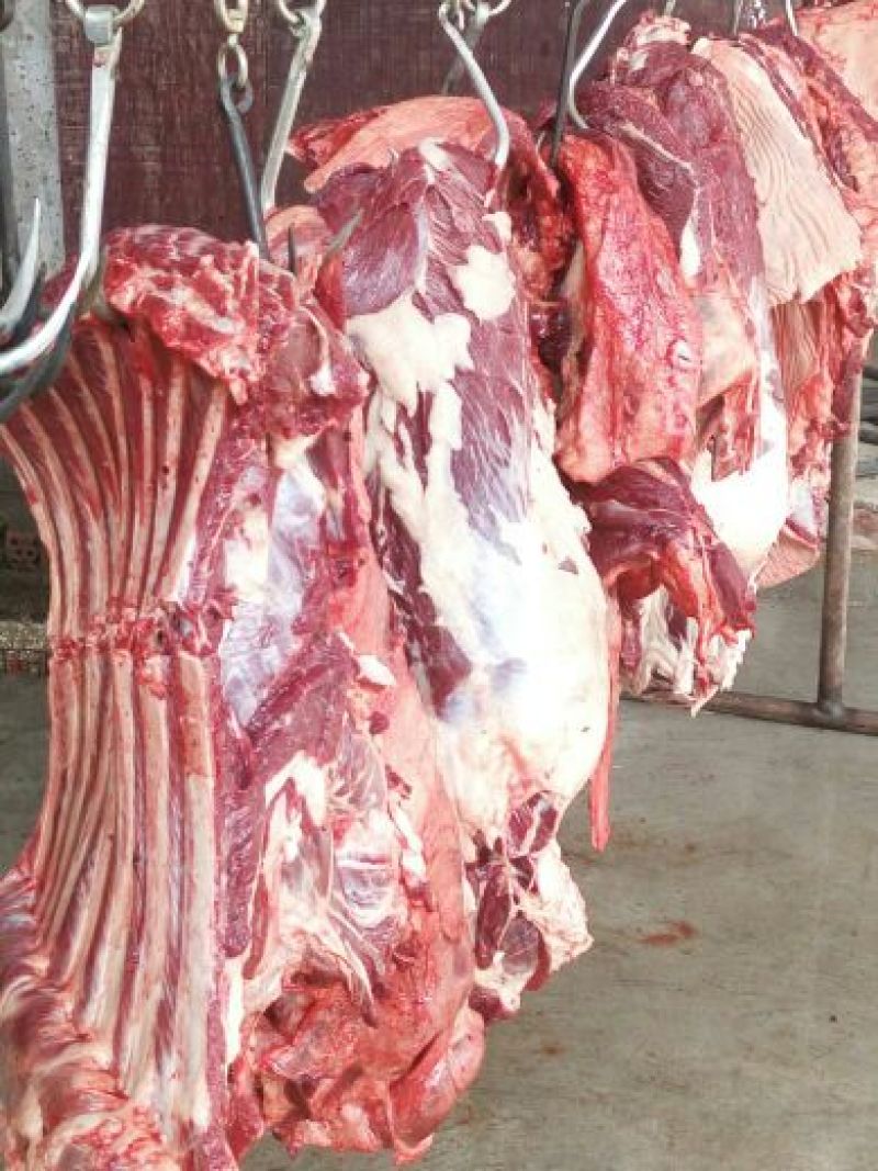 驴肉