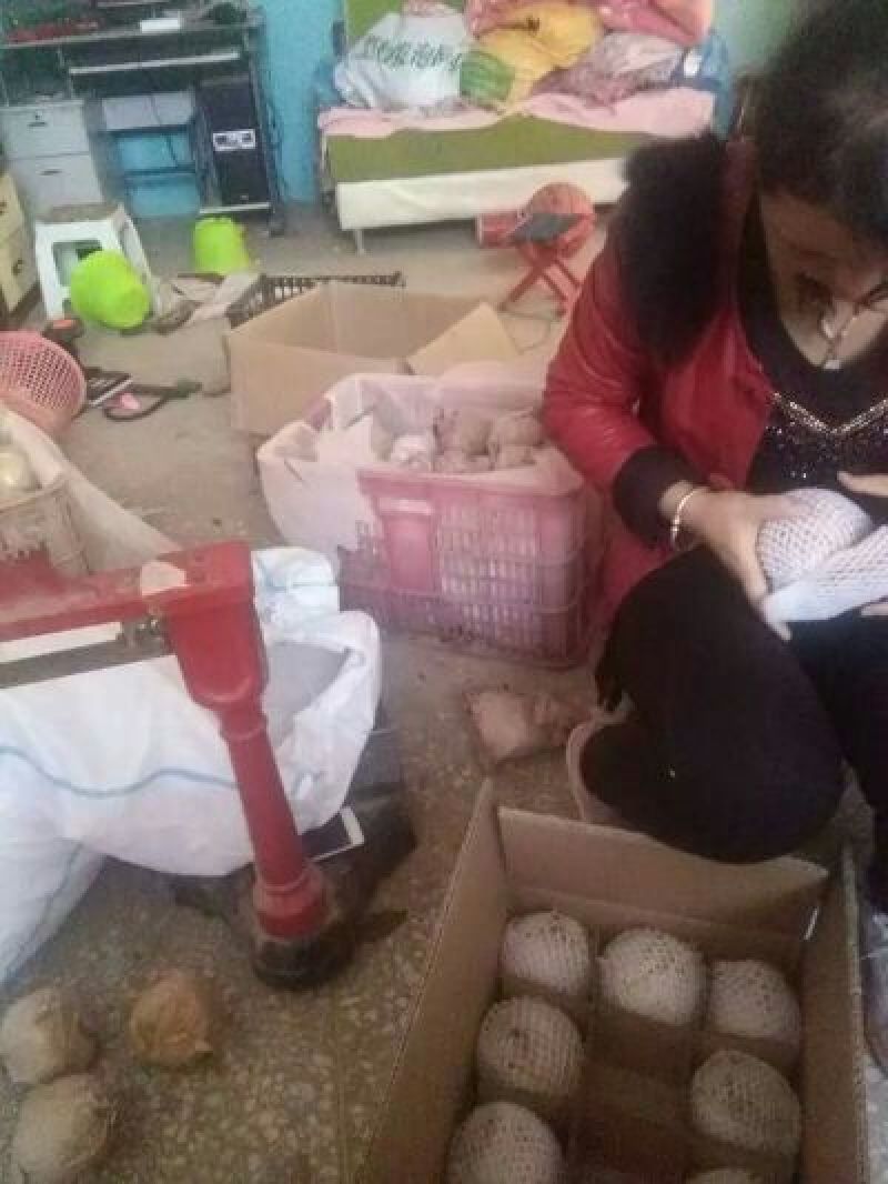 贡梨200~250g纸箱