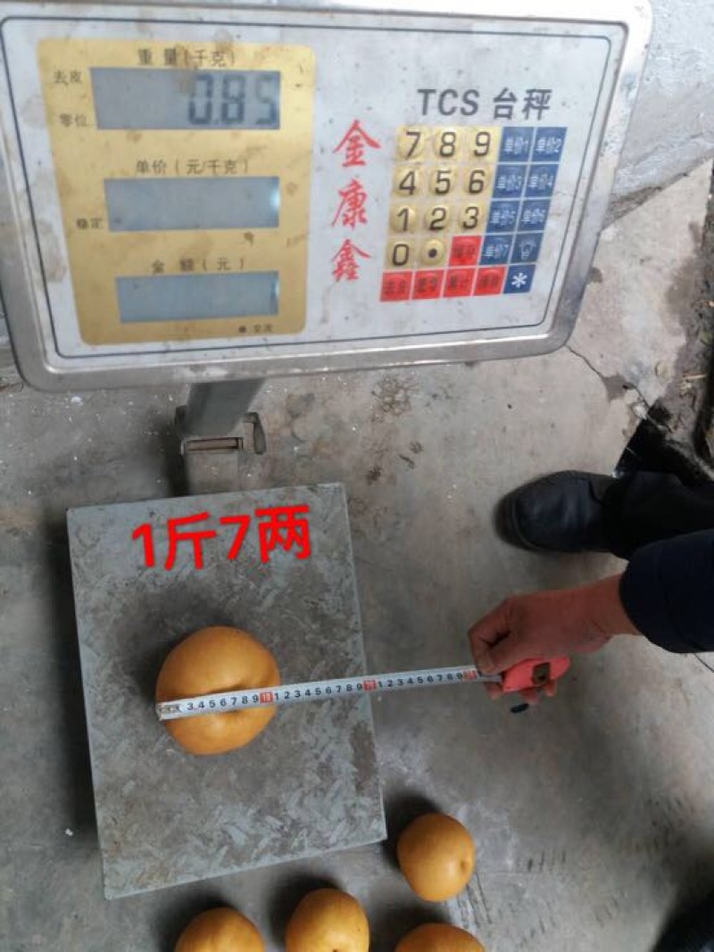 晚秋黄梨